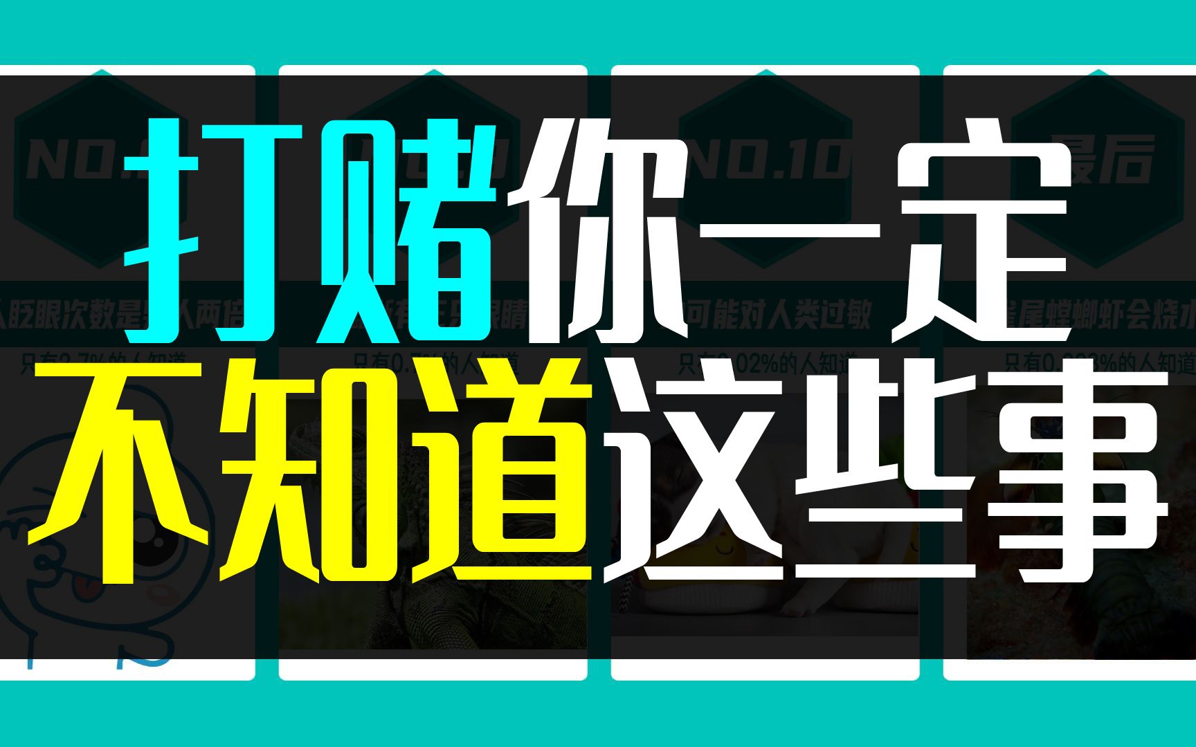 打赌你一定不知道这些事2 快来看看吧 听说点赞的人会好运满满哦【数据可视化】 - 哔哩哔哩