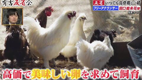 有吉反省会 反省人田口絵未花様 哔哩哔哩 Bilibili