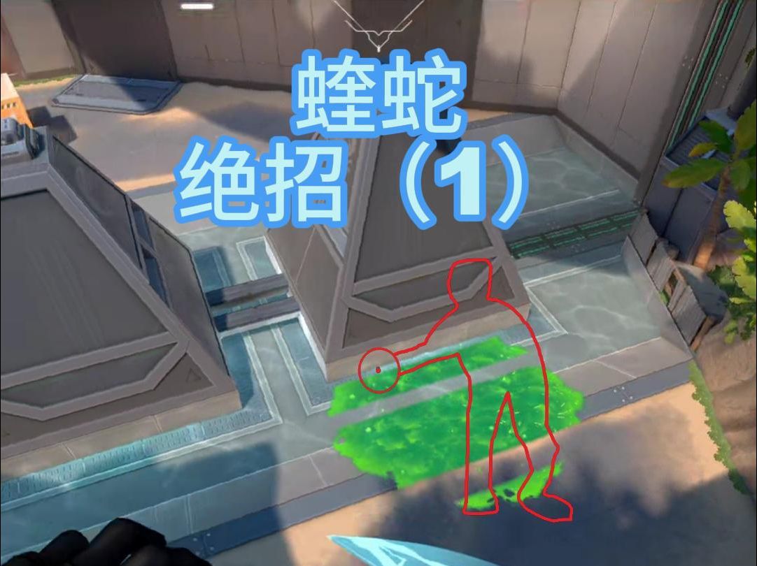 椰子帅帅:蝰蛇绝招(1)微风岛屿