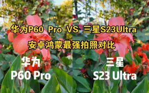 Download Video: 安卓鸿蒙最强拍照对比：华为P60 Pro VS 三星S23Ultra