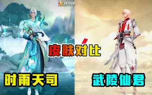 Descargar video: 诸葛亮两款限定皮肤对比，武陵仙君外形好，时雨天司打击感更强