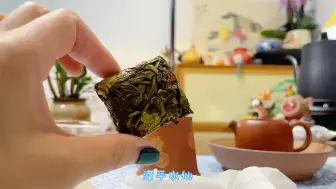 Descargar video: 喝茶日常·小品壶泡漳平水仙