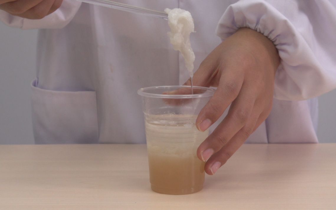 小学5-6年级——提取香蕉dna_哔哩哔哩 (゜-゜)つロ 干杯~-bilibili