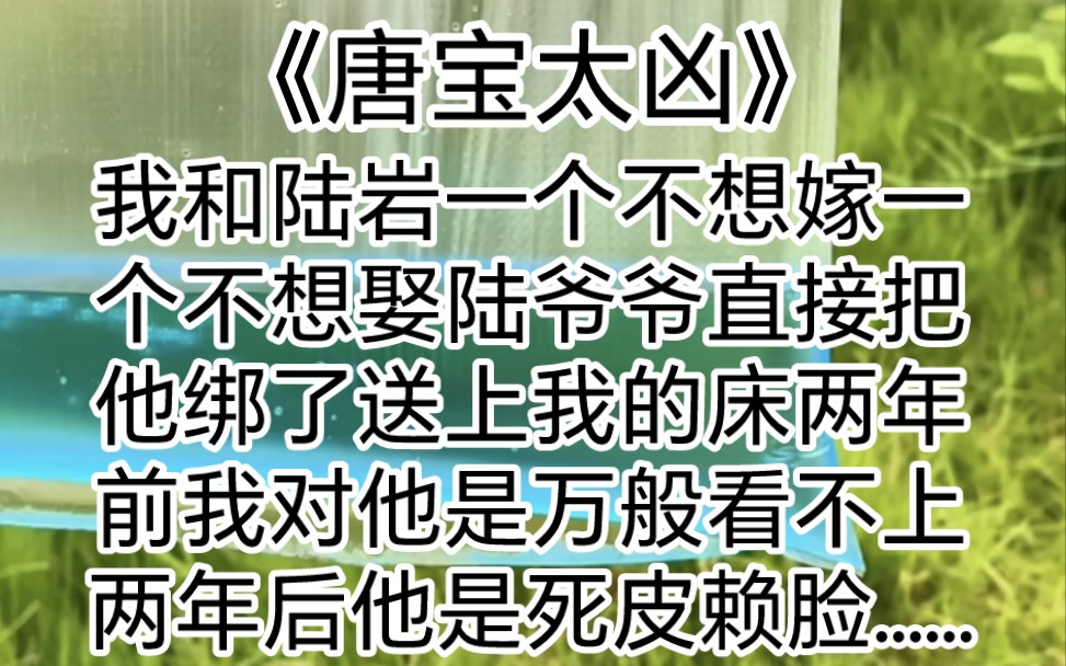 [图]茗-《唐宝太凶》我和陆岩一个不想嫁一个不想娶陆爷爷直接把他绑了送上我的床两年前我对他是万般看不上两年后他是死皮赖脸……