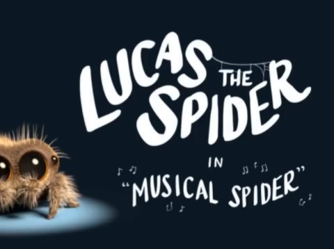 小蜘蛛卢卡斯05musical spider