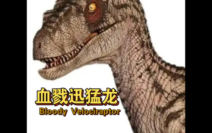 up主介绍图鉴[5]:血戮迅猛龙