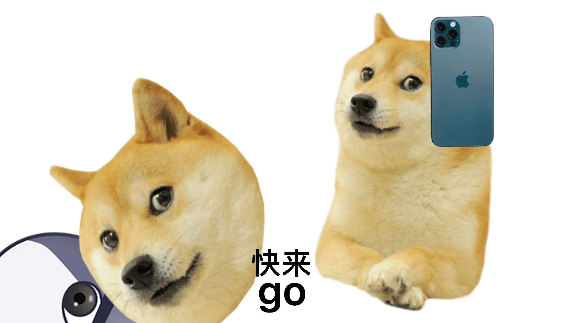 活动  狗头杀手