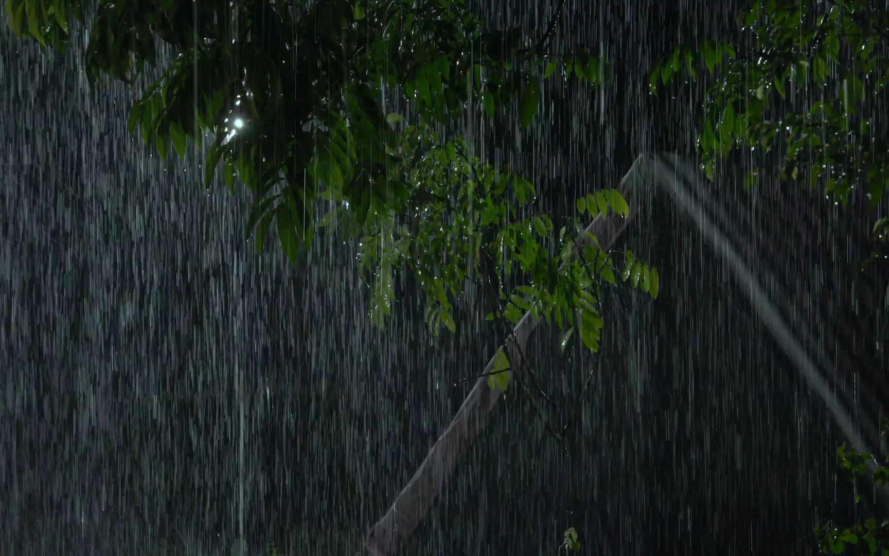 [图]在暴风雨的夜晚快速入睡 ｜ 热带大雨和森林中非常强烈的雷声