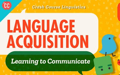 【语言学 Linguistics】第一语言习得 First Language Acquisition哔哩哔哩bilibili