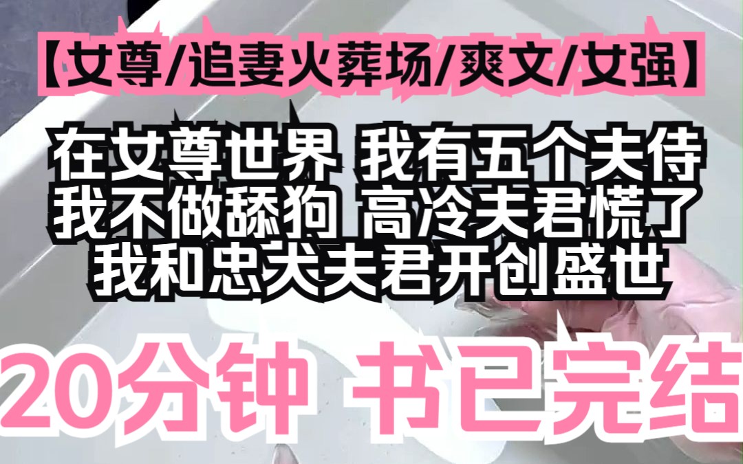 【光照喜欢】女尊/追妻火葬场/爽文/女强,在女尊世界,我有五个夫侍,不做舔狗之后,高冷夫君慌了,我和忠犬夫君开创盛世哔哩哔哩bilibili