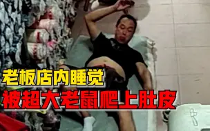 Download Video: 老板店内睡觉被老鼠爬上肚皮，妻子：目测2斤，发现后一巴掌扇走