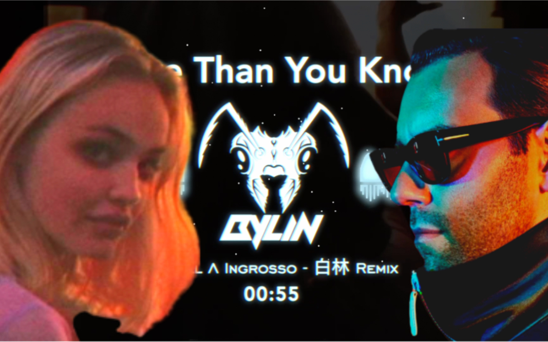 【白林 Remix】More Than You Know  5年前电音节最火的神曲哔哩哔哩bilibili