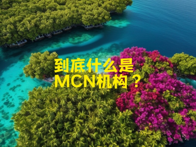 ,到底什么是MCN机构?哔哩哔哩bilibili