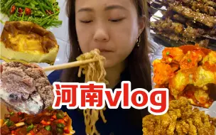 Download Video: 河南vlog｜体验农村生活、胡辣汤配水煎包、物价低到惊呆啦！2.5一串羊肉串、光和手感欧包、芝士蛋糕、热干面