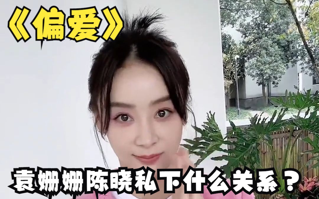 《偏爱》袁姗姗陈晓私下什么关系?