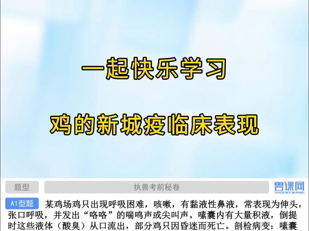 鸡的新城疫临床表现,学,下一个技能上岸的就是你!哔哩哔哩bilibili