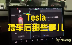 Скачать видео: Tesla特斯拉灯光（转向灯、远近光灯）、雨刮基础操作