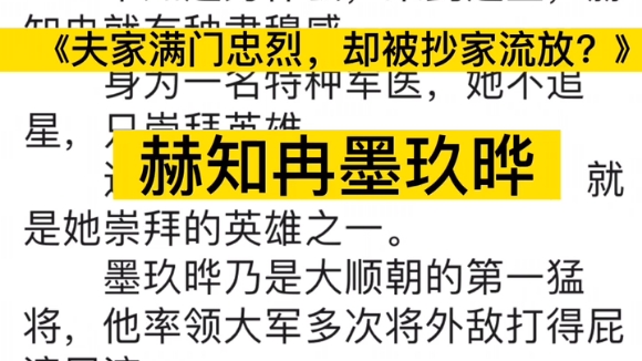 精彩小说推荐《夫家满门忠烈,却被抄家流放?》赫知冉墨玖晔哔哩哔哩bilibili