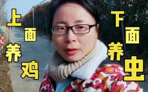 Télécharger la video: 上面养鸡，下面养虫，我养10万条虫处理鸡粪