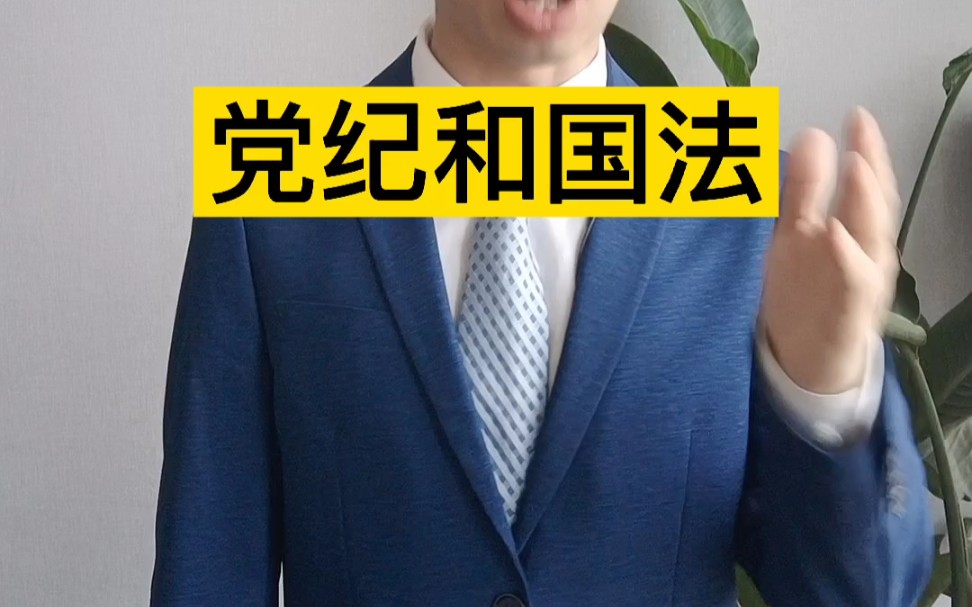 党纪严于国法!哔哩哔哩bilibili