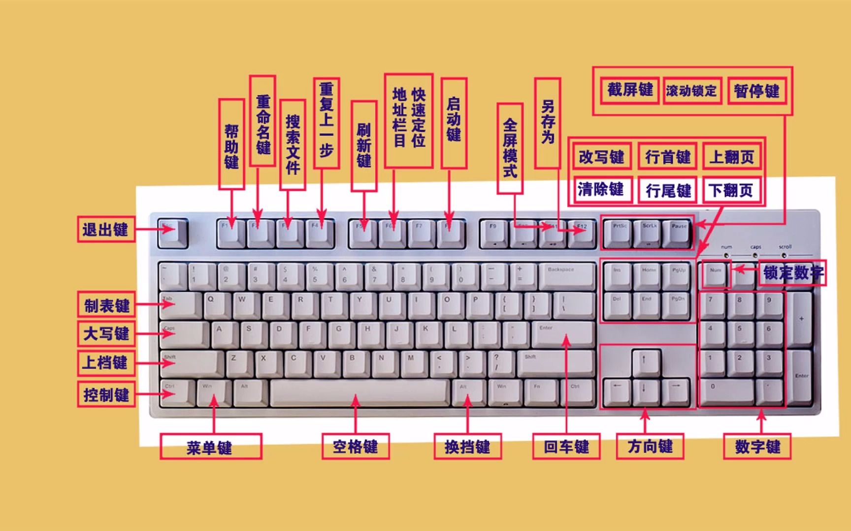 电脑零基础入门教学知识