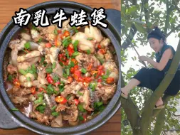 Download Video: 这次是搬了七七和大潘两个救兵了，但最后的结局不理想啊#我的乡村生活#农村美食#南乳牛蛙煲