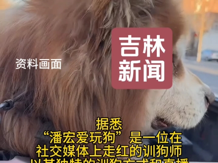 网红博主潘宏直播给阿拉斯加犬洗澡,突然潘宏关闭直播,它已经7岁,千万级博主潘宏夜间发文道歉:我真的“没有蹭流量”,我更对不起给狗主人答应一...