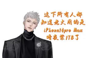 Download Video: 这下所有人都知道老大用的是iPhone14pro Max暗夜紫1TB了。老大提起八百块钱的声卡，贤队立马精神了，哈哈哈哈哈自家兄弟的事怎么能叫坑呢？