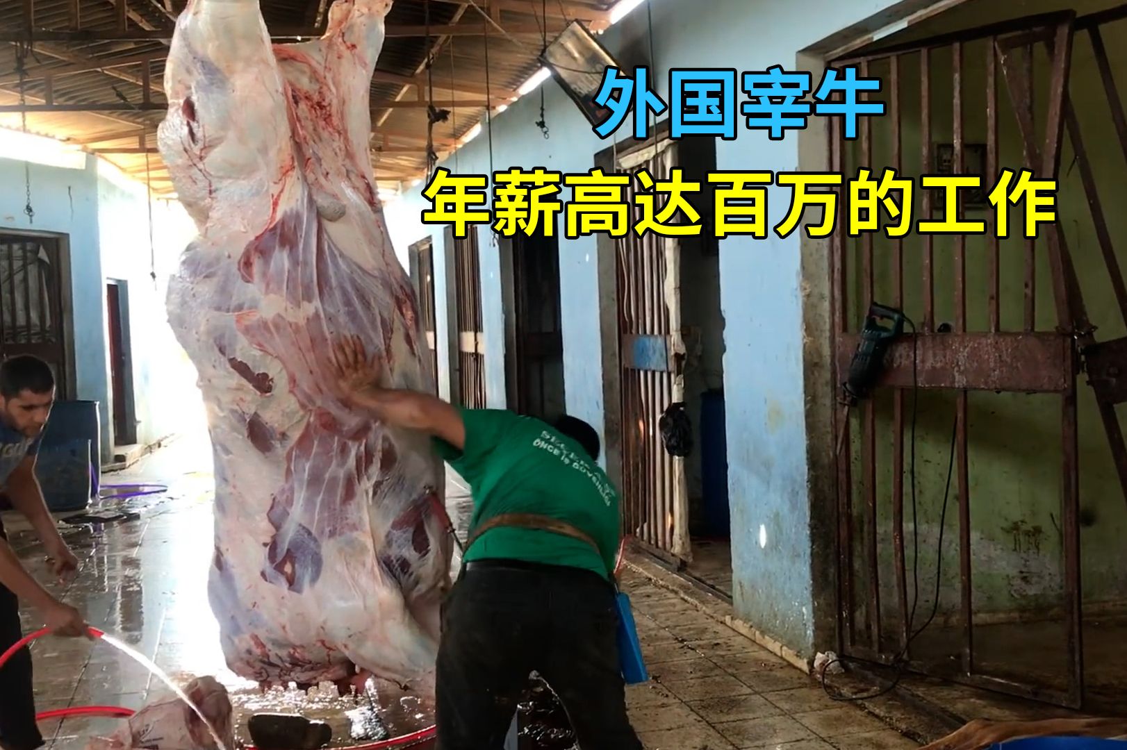 国外简单的宰牛工作，年薪竟然高达百万-大千美食家-大千美食家-哔哩哔哩视频