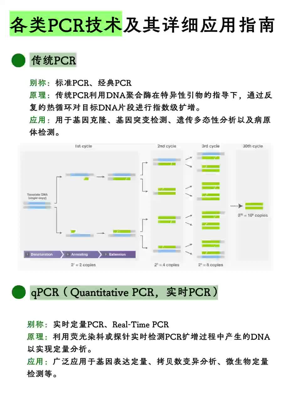 pcr三循环示意图图片