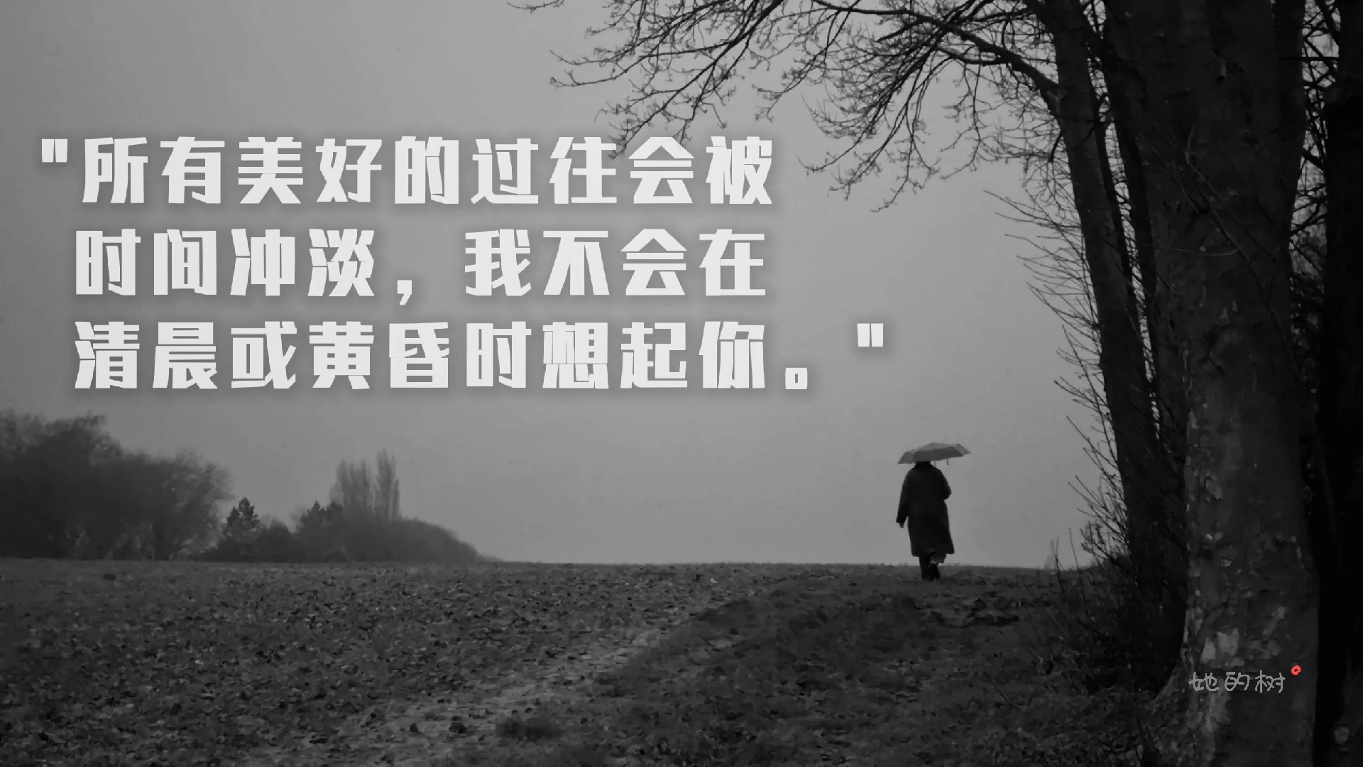 10秒文案|所有美好的过往会被时间冲淡,我不会在清晨或黄昏时想起你.