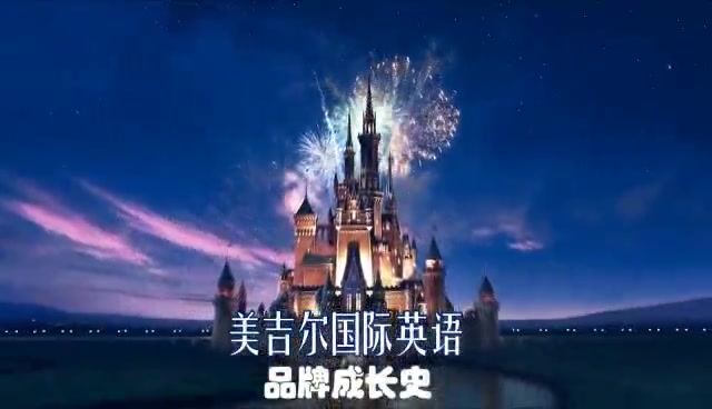 企业介绍项目背景哔哩哔哩bilibili