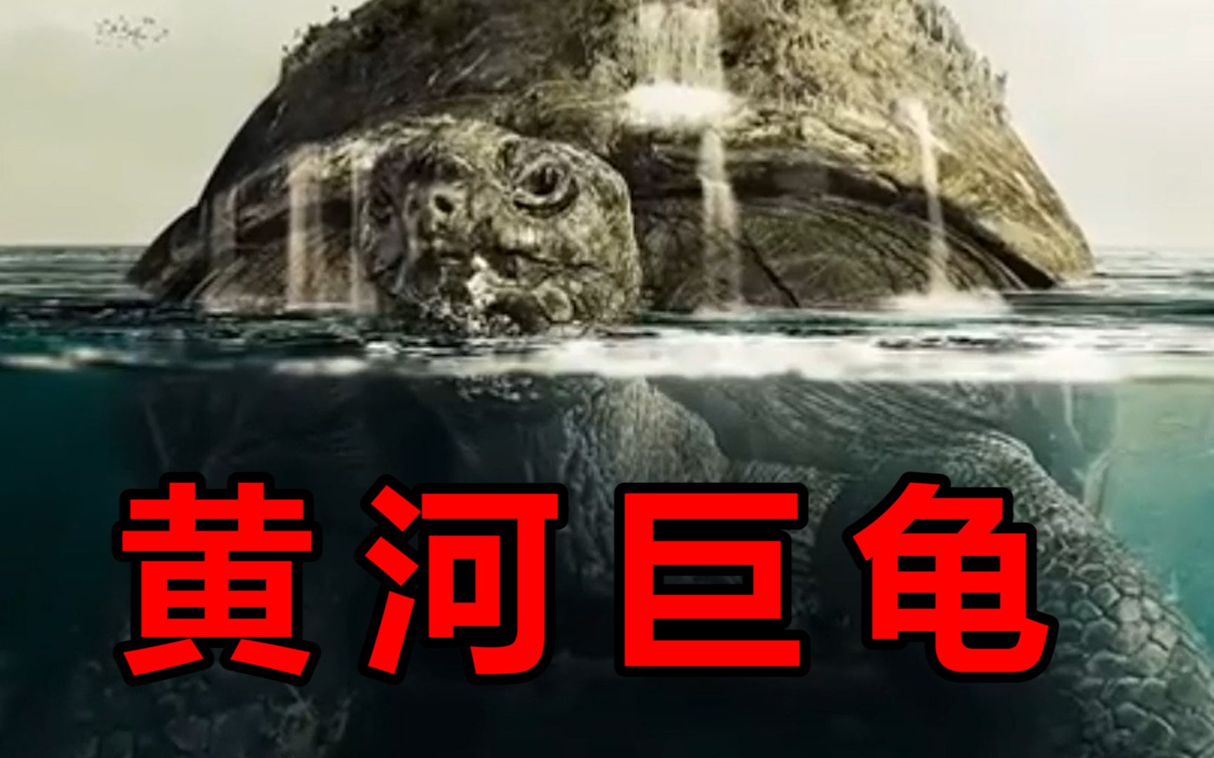 1965年黄河巨龟事件图片