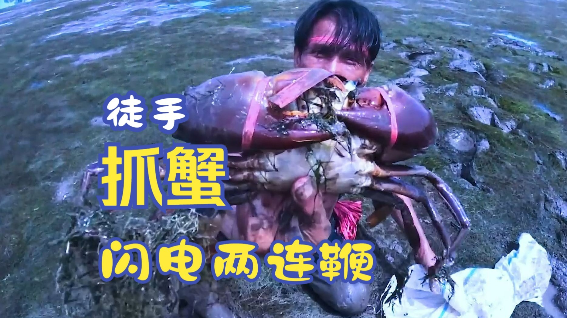 这般赶海捕捉大青蟹,你觉得是啥段位!