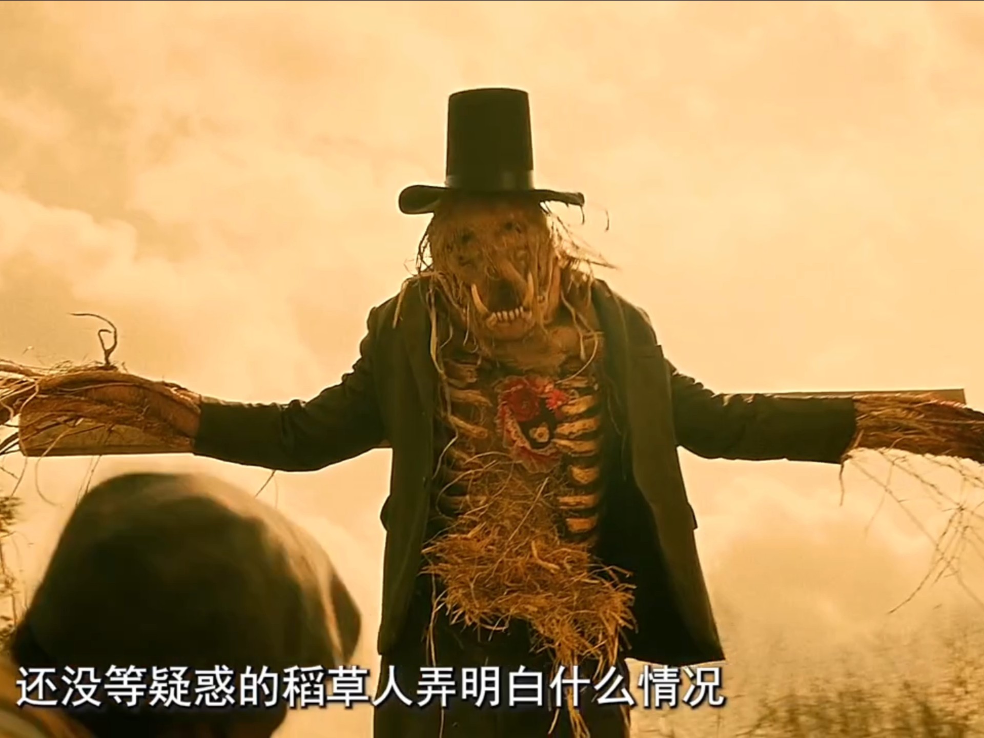 稻草人因太护主被农场主封印数十年
