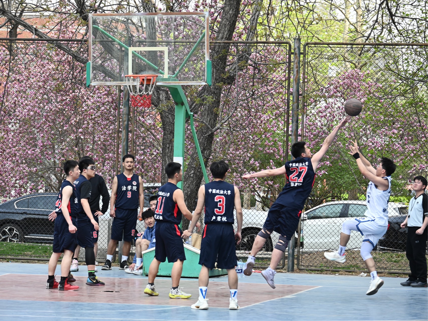 【乘风而至】玉兰花开 运动当时——中国政法大学“玉兰杯”篮球赛法学院首战告捷!哔哩哔哩bilibili