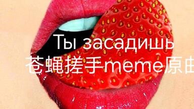 【苍蝇搓手meme曲】Ты засадишь（你所种下的）-EA7