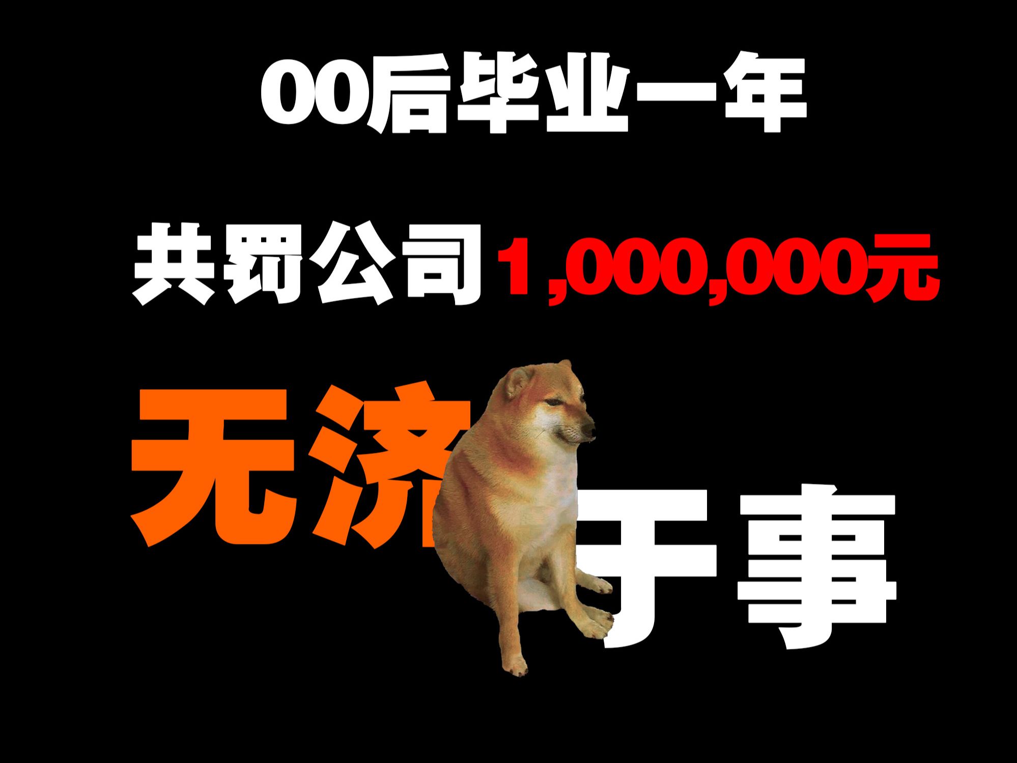 毕业一年共罚违法公司100万,却无济于事哔哩哔哩bilibili