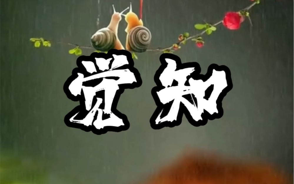 深入的去了解觉知