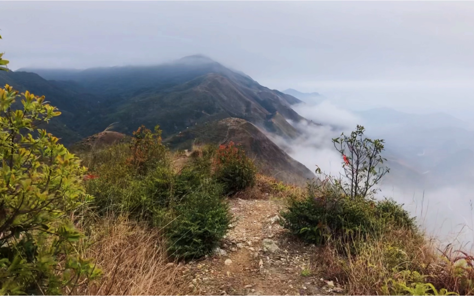 莫六公山:绝色高山草原风光,顶级三黄鸡打边炉哔哩哔哩bilibili