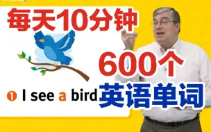 Download Video: 【120课全英文字幕】每天学习10分钟 美国外教Brian Stuart带你背600个基础英语核心单词 适合零基础学英语少儿英语启蒙（高效背单词）