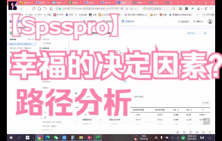 spsspro 路径分析之分析如何幸福哔哩哔哩bilibili