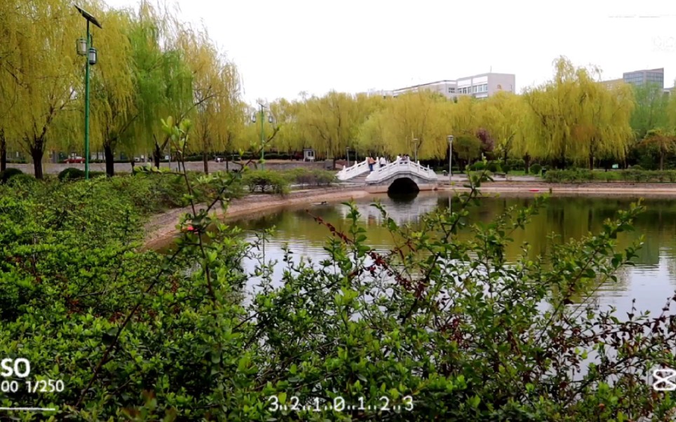 [图]周师春景——揽月湖畔