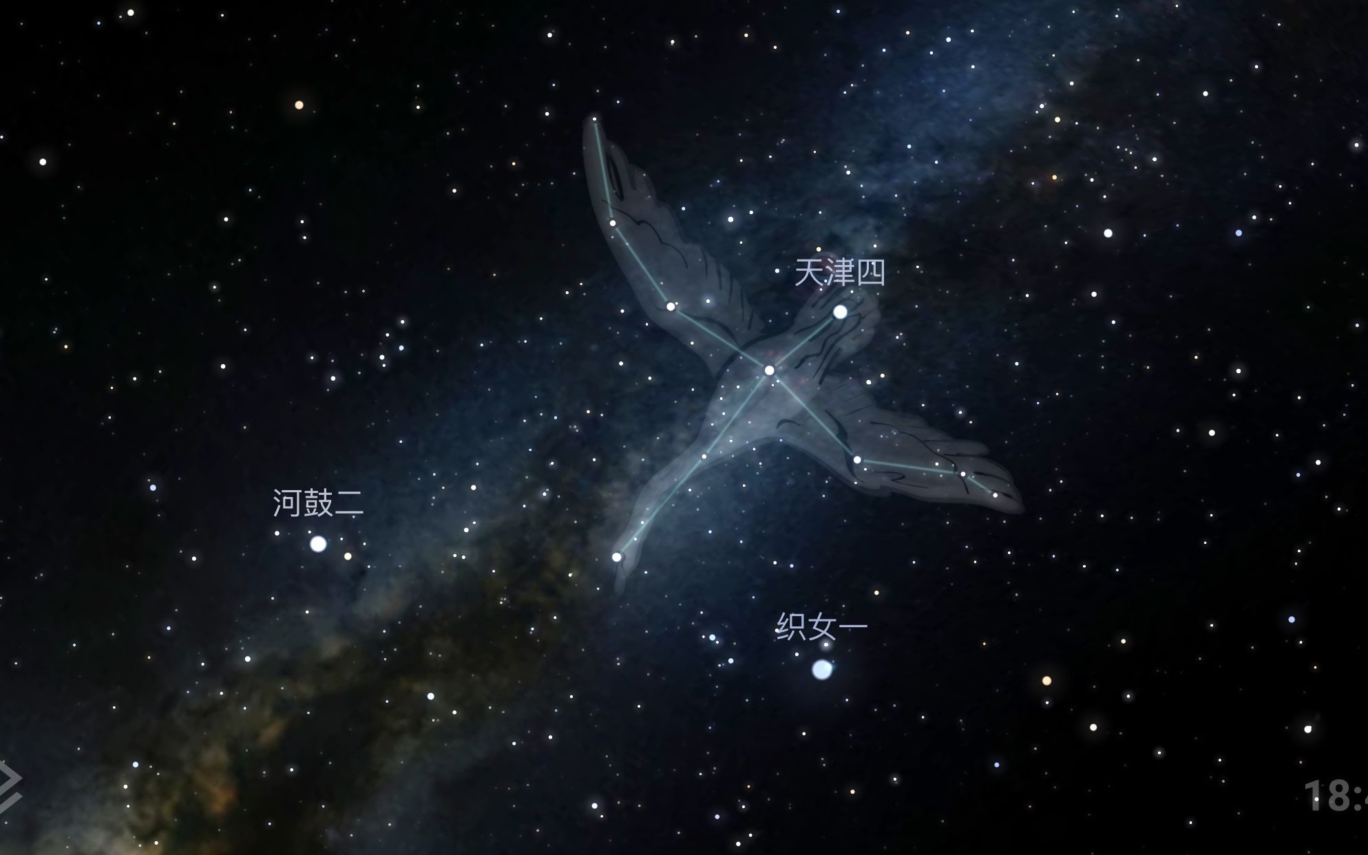 天鹅座x-1,人类最早发现的黑洞,此刻正疯狂吸噬着它的伴星