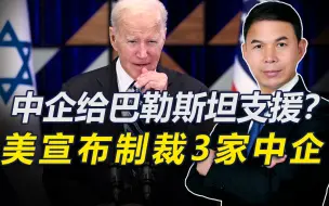 Descargar video: 为巴勒斯坦提供支援？美宣布制裁3家中企，给出的理由却很荒谬