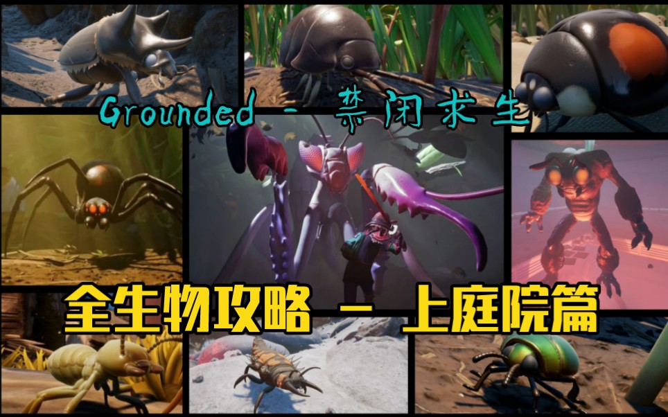 [图][Grounded] 禁闭求生 初见全生物攻略 -上庭院篇 （1）