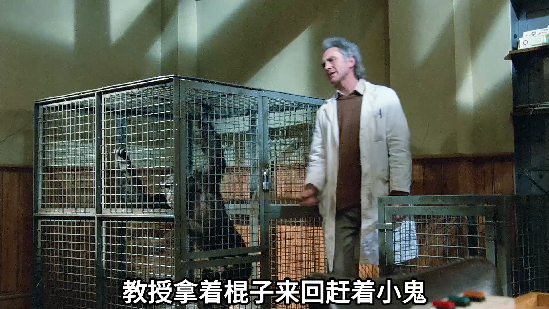 愤怒的猩猩有多可怕