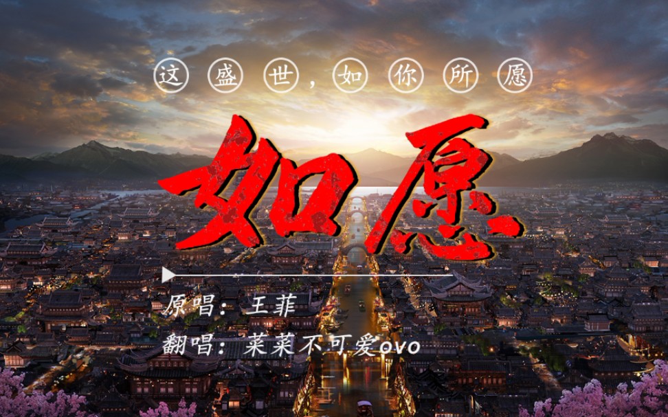 如你所愿 B站