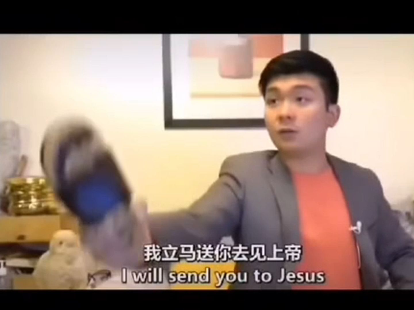 充满鸟语花香的一局游戏