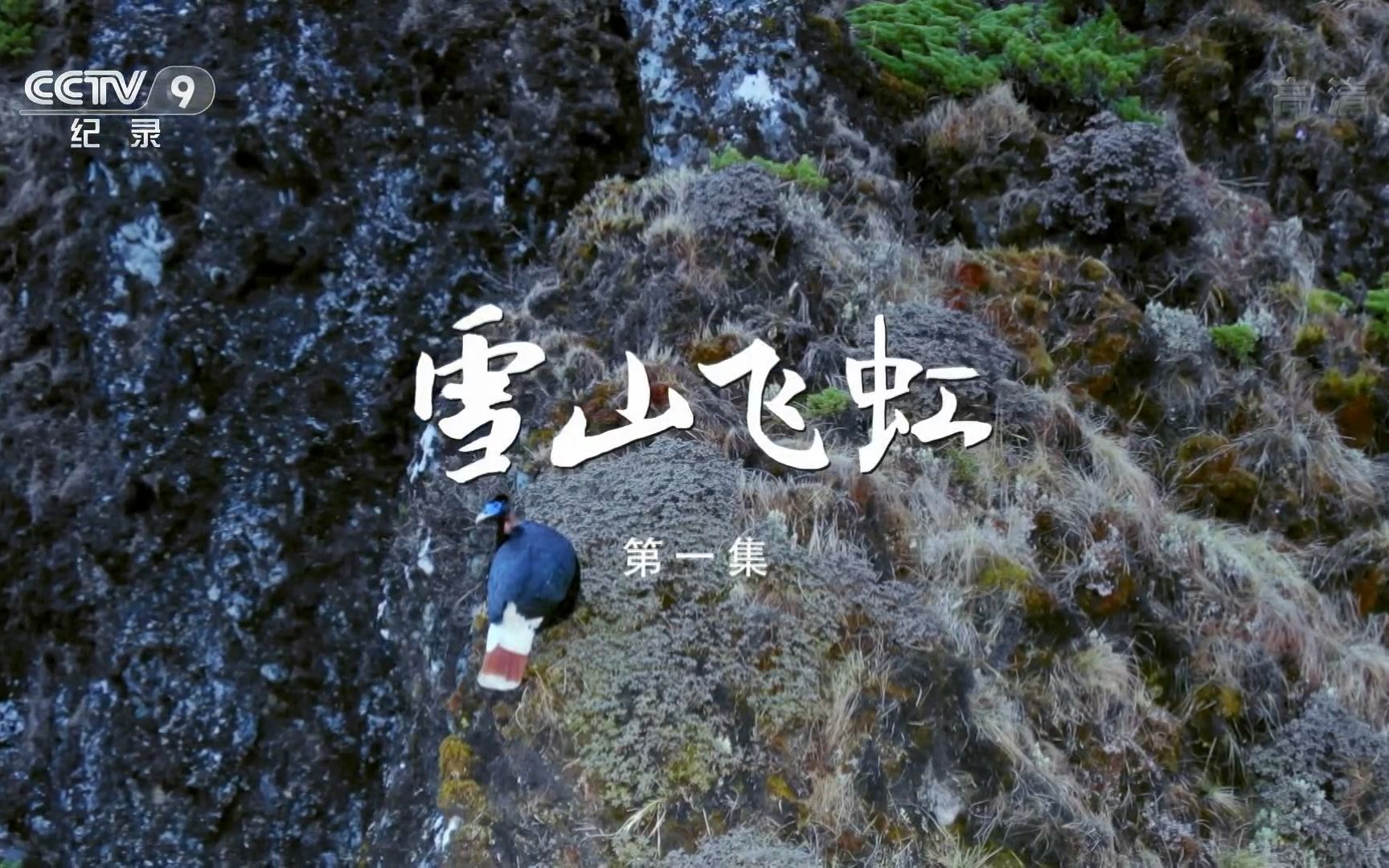 [图]（1080P+）《雪山飞虹》【全5集】